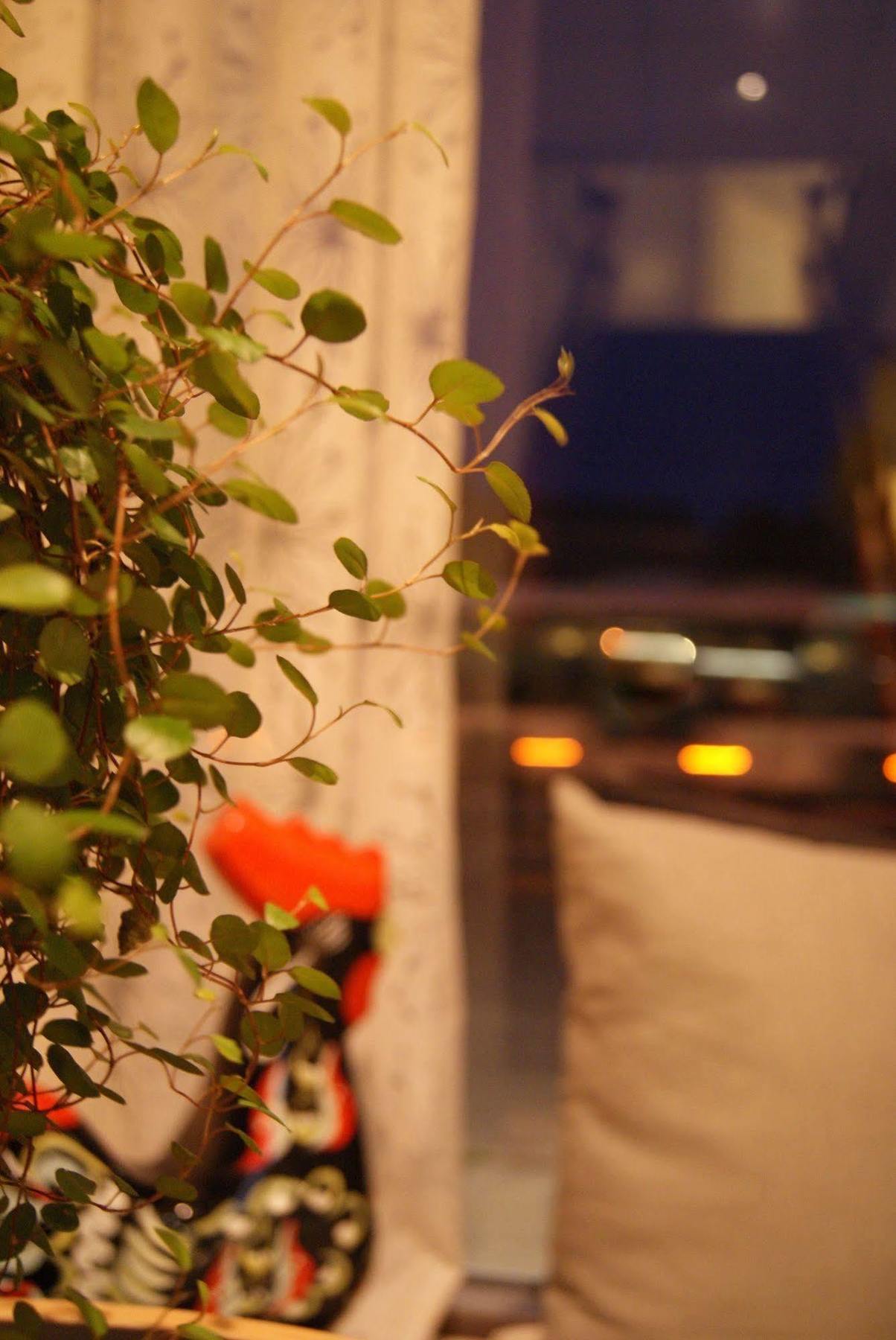 Hotel ฟาลัน ภายนอก รูปภาพ